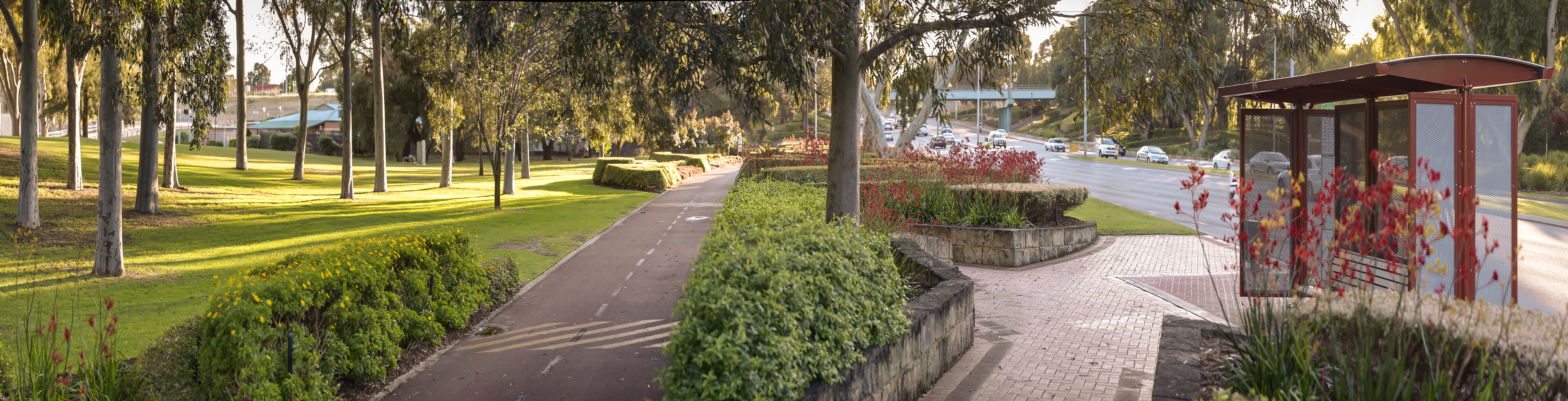 DSC_3596 Panorama.jpg