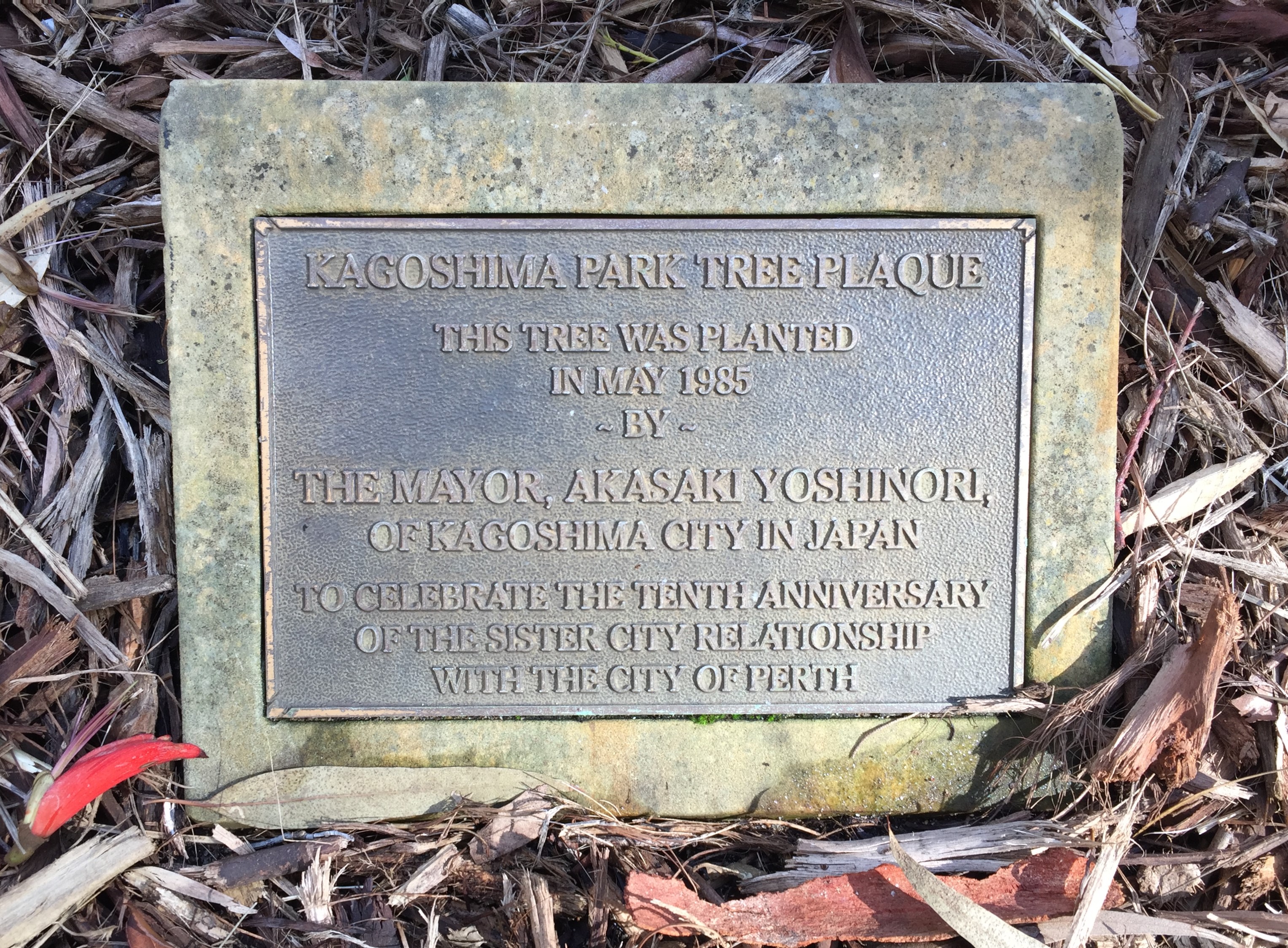 Kagoshima Tree Planting 1985.JPG