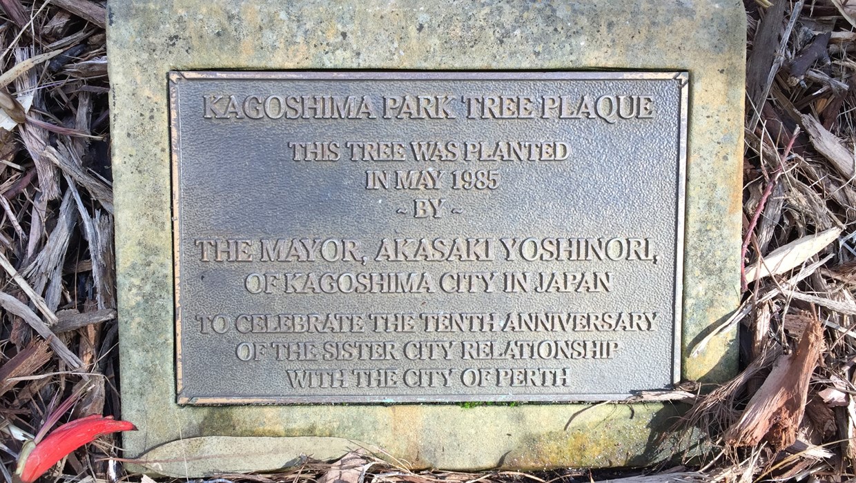 Kagoshima Tree Planting 1985.JPG
