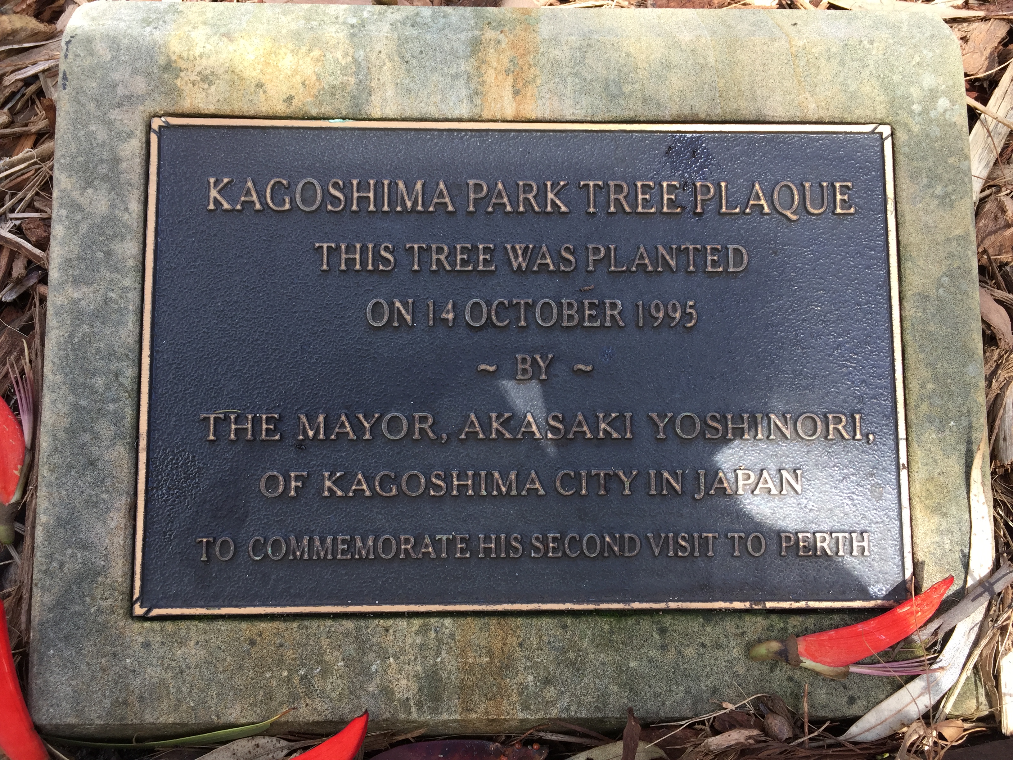 Kagoshima Tree Planting 1995.JPG