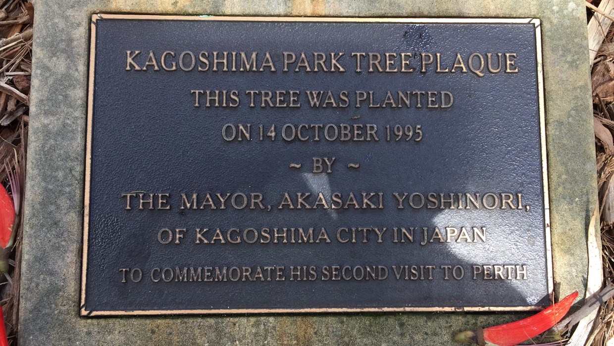Kagoshima Tree Planting 1995.JPG