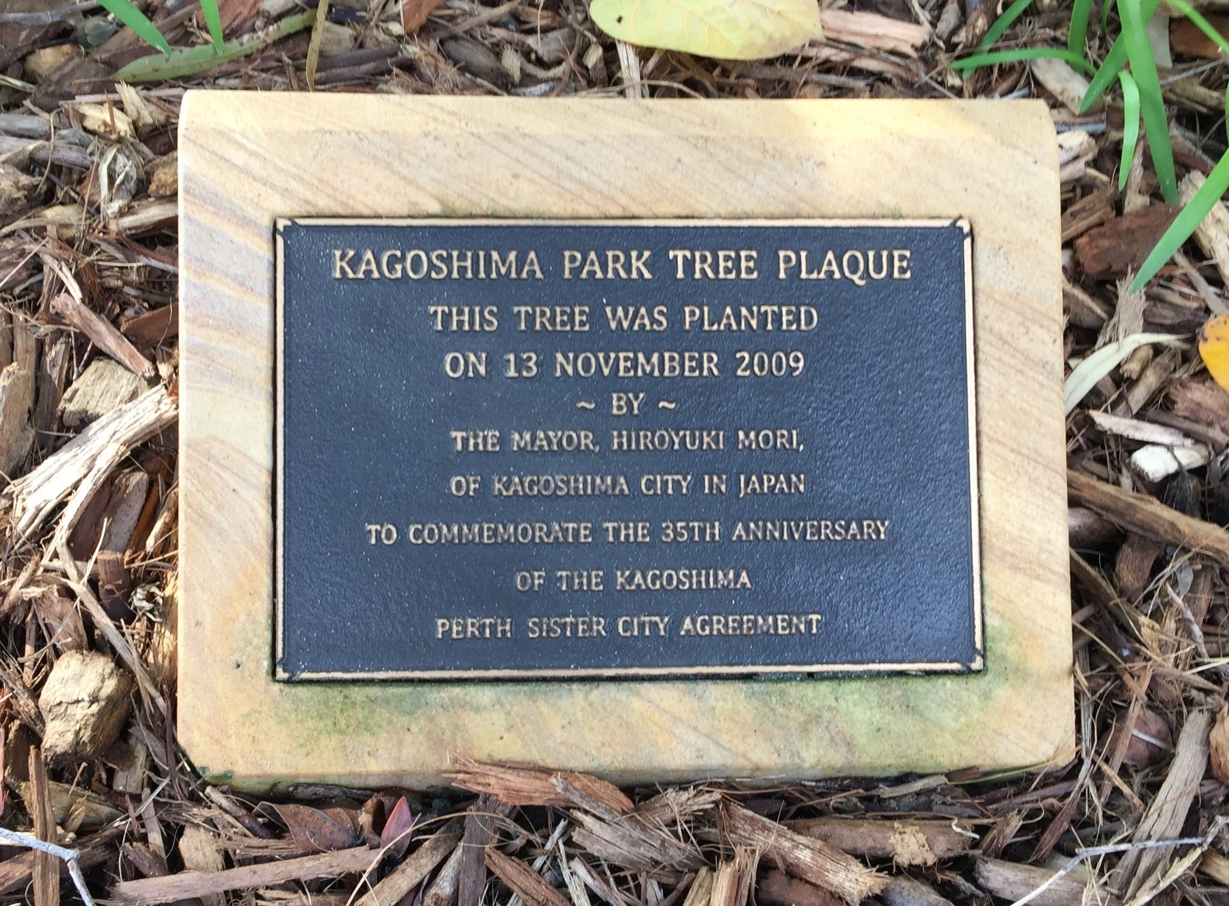 Kagoshima Tree Planting 2009.JPG