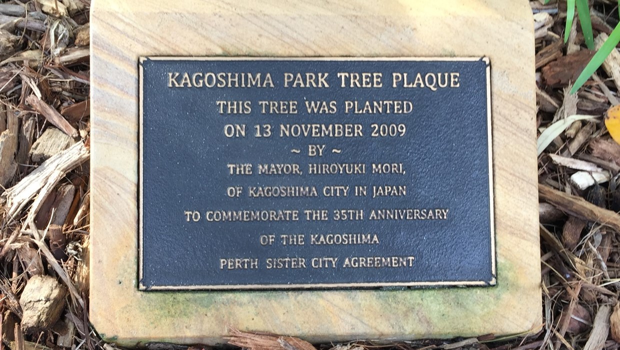 Kagoshima Tree Planting 2009.JPG