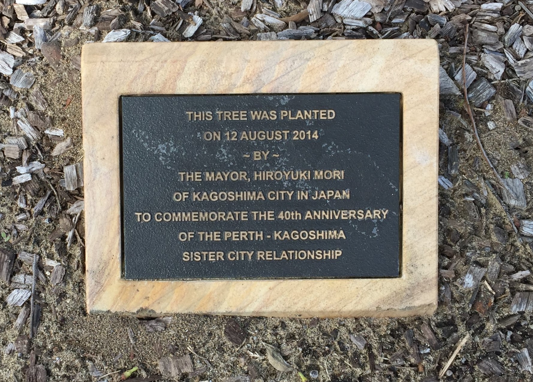 Kagoshima Tree Planting 2014.JPG