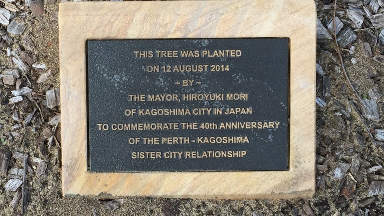 Kagoshima Tree Planting 2014.JPG