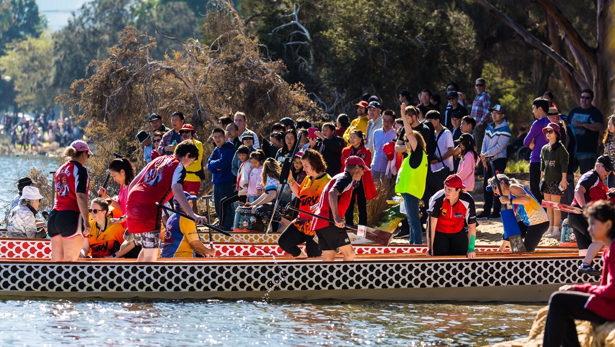 Dragon boat racing teams, bring vibrancy and colour to the Swan River.
